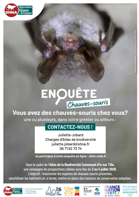 202606_ENQUETE_Chauve_souris_ABC_IS