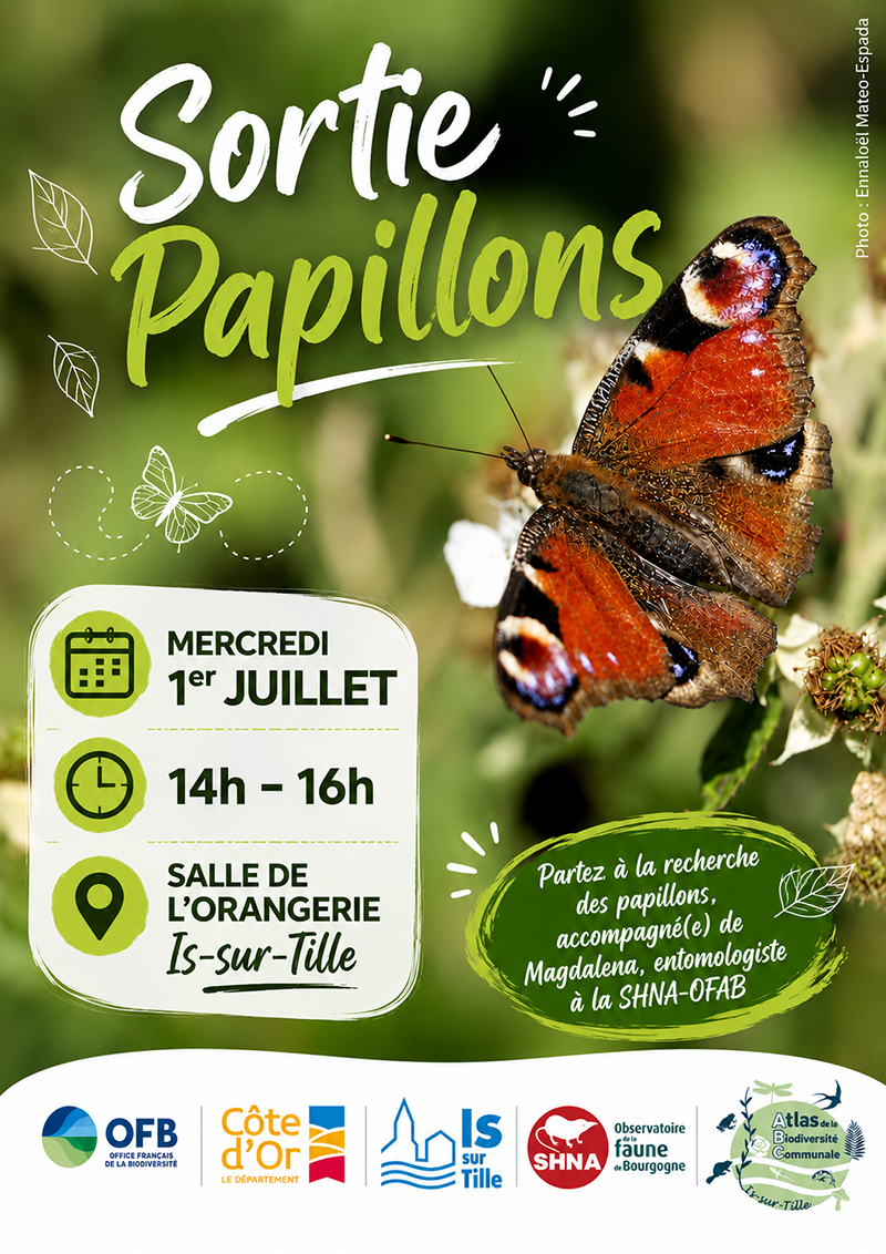 Affiche_animation_papillons_de_jour_01-06-26_V3