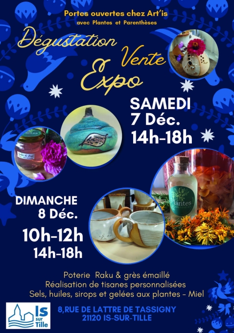 FLYERARTISEXPOVENTE78DEC2024ISSURTILLE