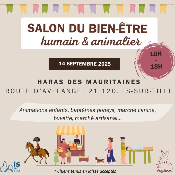 haras_des_mauritaines_salon