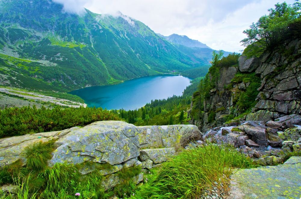 la_nature