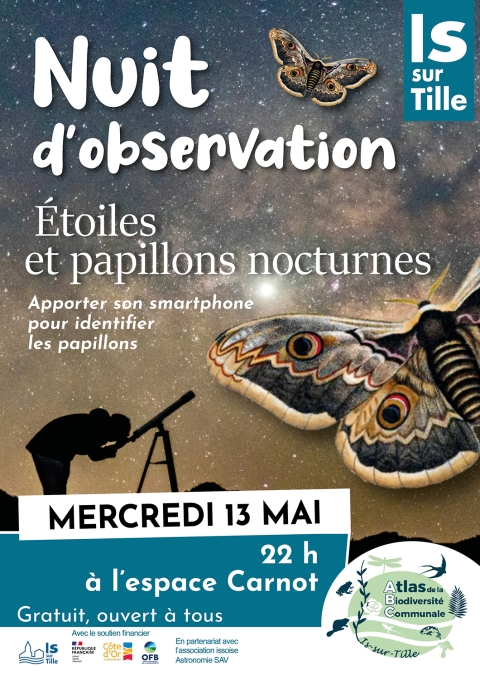 observation_etoiles_et_papillons_nocturnes