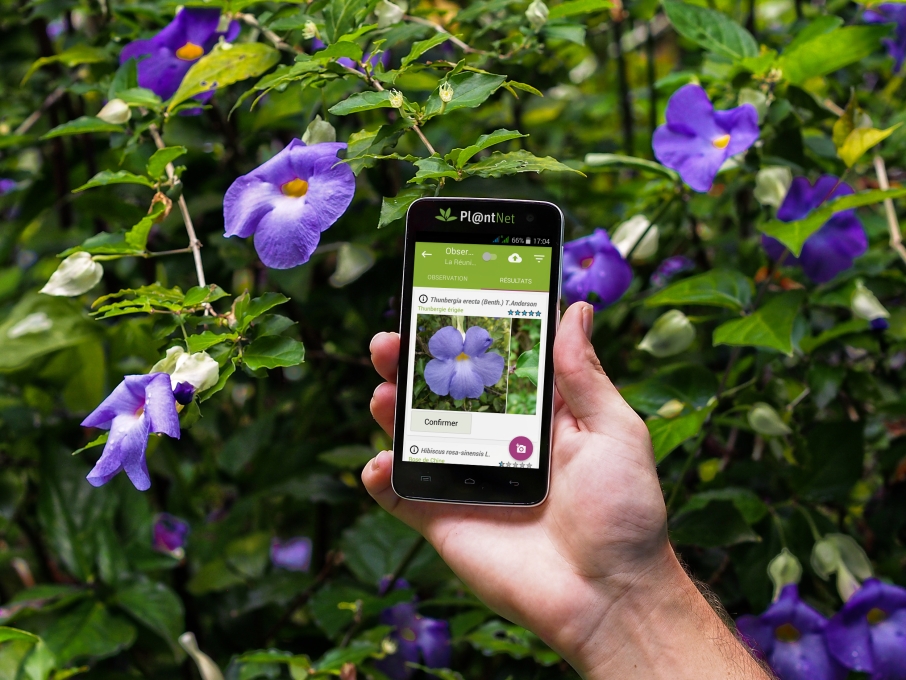 plantnet