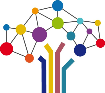 rapport social unique